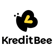 What Is Kreditbee Offers