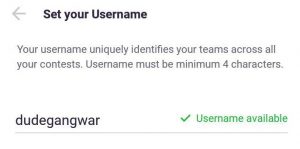 cricplay username selection