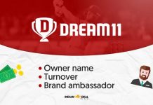 Dream11 Owner Name, Turnover & Brand Ambassador