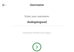 playdude enter username details