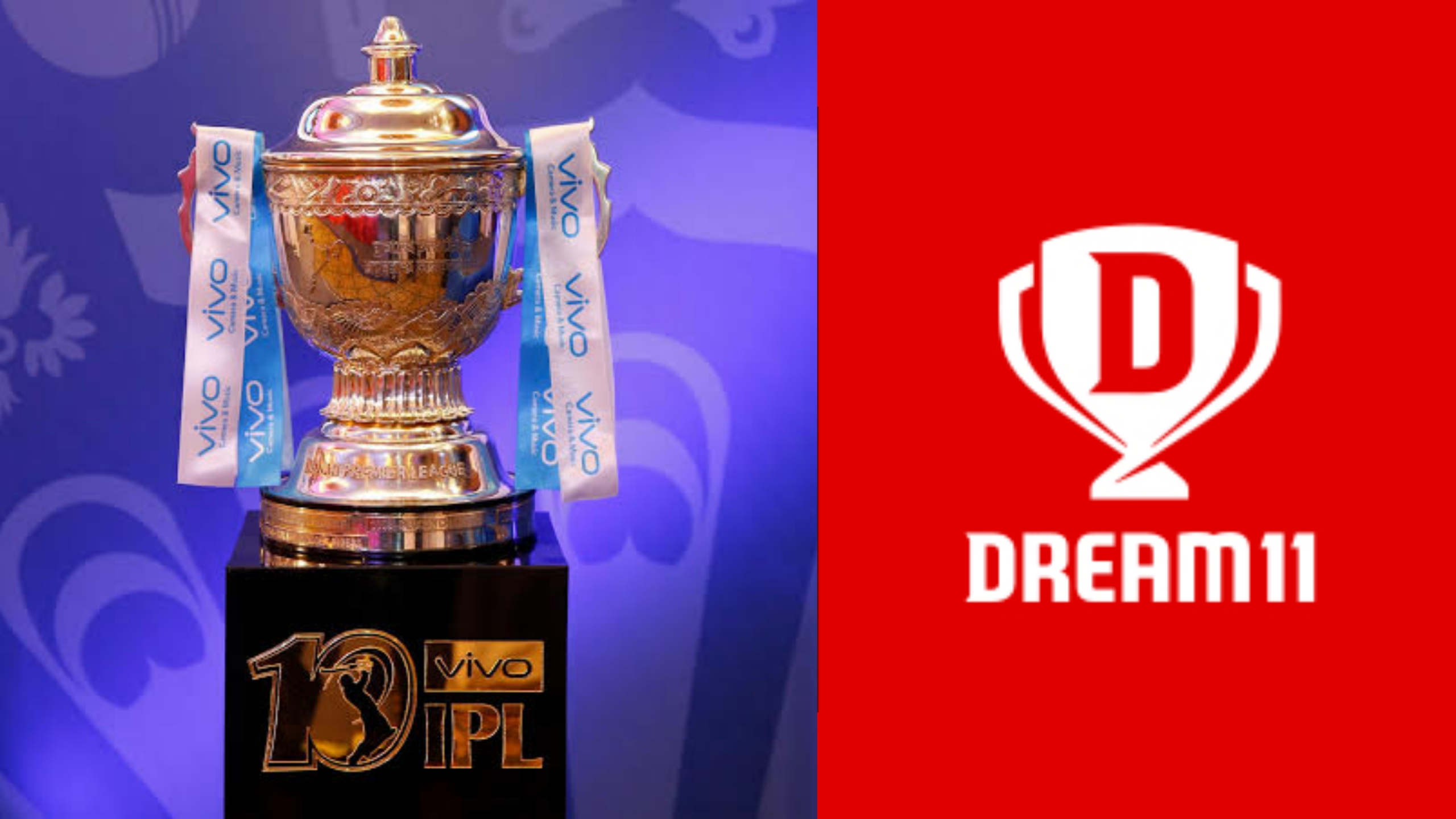 Dream11 IPL bid