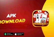 Hobi Games APK Download