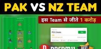 PAK vs NZ Dream11 Team Prediction 4th ODI Match 2023 (100% Winning Team)