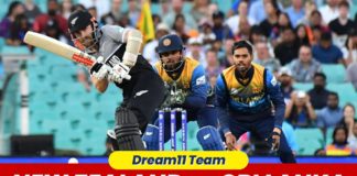 NZ vs SL Dream11 Team Prediction 3rd T20 Match 2023 (100% Winning Team)