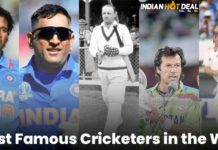 Who Are the 5 Most Famous Cricketers in the World