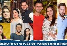 Most Beautiful Wives of Pakistani Cricketers